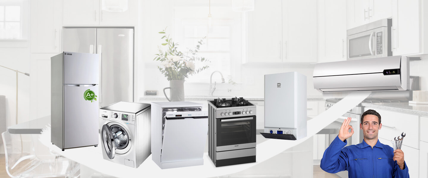 Çamlıdere Vaillant Servisi